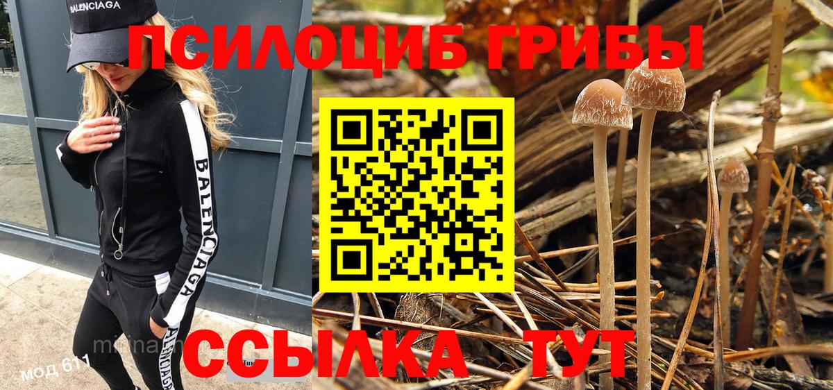 Псилоцибиновые грибы мухоморы  Вход с VPN  Черняховск 
